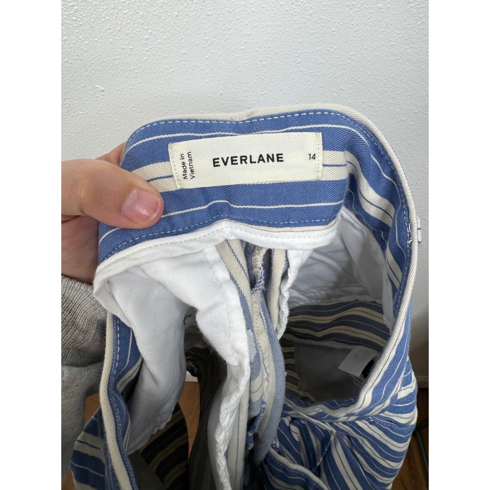 Everlane Womens Blue White Striped Pleated Chino Organic Cotton Shorts Size 14 - Picture 5 of 7